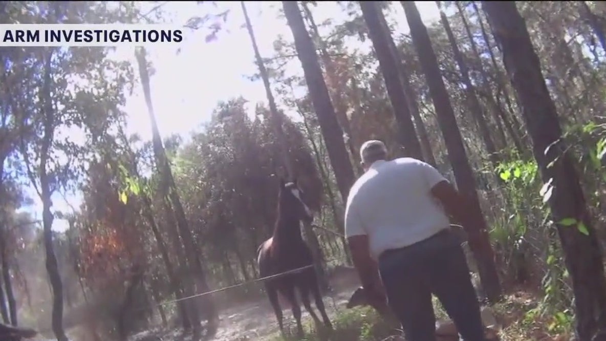 FOX 13 investigates black market horse meat